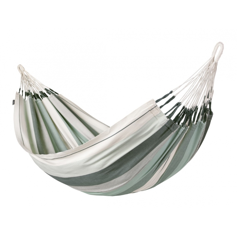MODESTA, Olive (double)