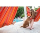 DOMINGO (Kingsize), Toucan
