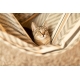 HABANA (Kingsize), Zebra