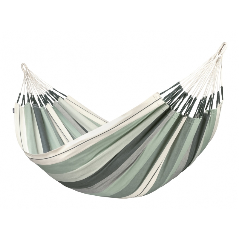 MODESTA, Olive (double)