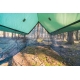 Moskito Wing Tarp