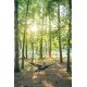 ENO TRAVELNEST, Moss (hammock + straps)