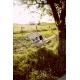 Hammock stand MADERA