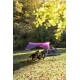 ENO SUNFLY Shade, Plum / Berry