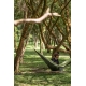 Ticket To The Moon ORIGINAL, Army Green / Green Apple